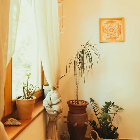 Yoga, Bed & Vegan Breakfast Rovinj