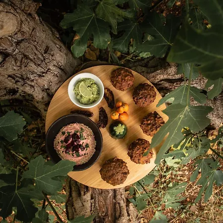 Bed & Breakfast Yoga, Bed & Vegan Breakfast