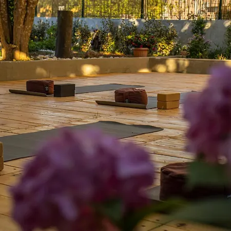 Bed & Breakfast Yoga, Bed & Vegan Breakfast
